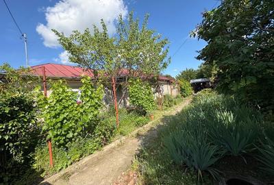 Casă cu 4 camere în Central - 8