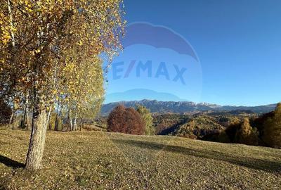 Oportunitate de investitie ! Teren de vis in Pestera - ... - 4