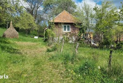 Casă cu 1 camere cu Teren 3750 Mp în Ciurila - 3
