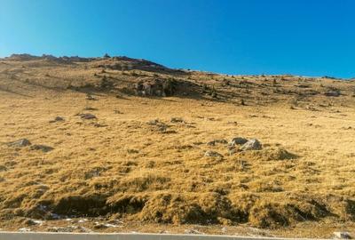 Platoul Bucegi zona Blana 2500mp intravilan construibil - TransBucegi - 3