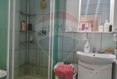 OCAZIE!!! CASA SUPERBA cu teren in JULITA jud Arad in M tii Zarandului - 28