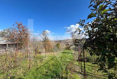 Casă individuală cu 4 camere cu Canalizare în Șeica Mare - 16