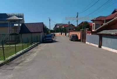 Teren Construcții intravilan de 2500 mp, în Manolache - 1