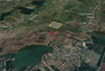 Teren de 235000 mp, în Tărtășești - 1