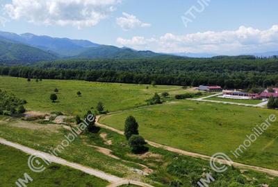 Teren Intravilan 1600 mp in Avrig zona Valea Avrigului - 2