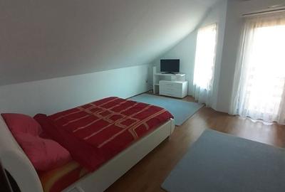 Casă cu 6 camere decomandat cu Teren 19200 Mp în Creaca - 2