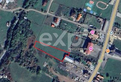 Spațiu comercial, în Bran - 3