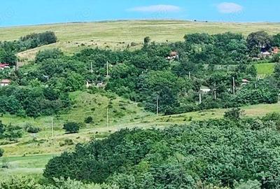 Teren de 5000 mp, în Boboci - 2