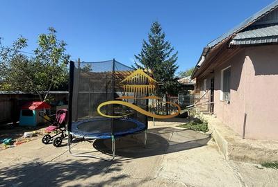 Casa de vanzare in Bacau Siretu 4000 mp teren 2 case curte comuna - 15