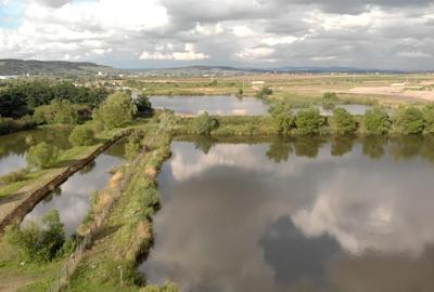 Lac Piscicol cu teren 7,5 HA de vanzare in Jud Sibiu la 10 km de Sibiu Lac Piscicol cu teren 7,5 HA de vanzare in Jud Sibiu la 10 km de Sibiu - 6