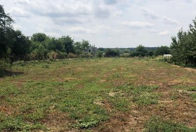 Silistea Snagovului, teren intravilan - 8