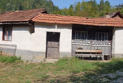 Casă cu 3 camere în Lugoj - 5