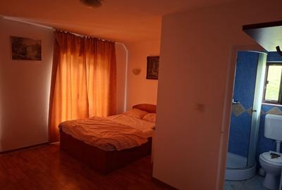 Casă individuală cu 10 camere cu Canalizare în Bercu Roșu - 12