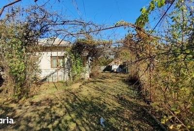 Casă cu 4 camere cu Teren 7720 Mp în Șirna - 6