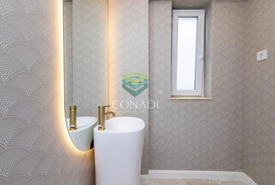 Iancu Nicolae-Pipera, vila cu 5 camere de vanzare, 317 mp construiti - 12