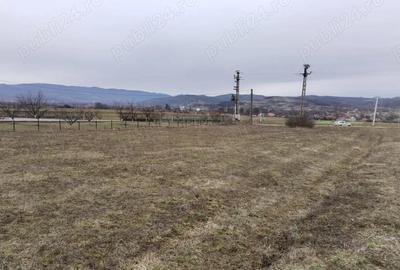 Teren de 3000 mp, în Vața de Jos - 1