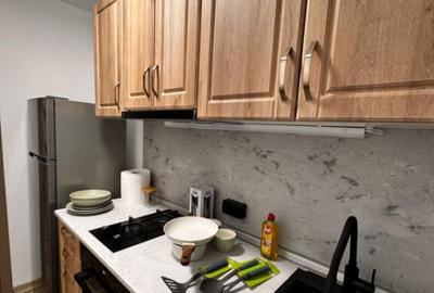 Apartament de inchiriat, cu 2 camere zona Smith - 9