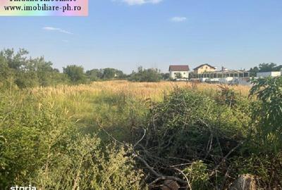 Spațiu comercial, în Blejoi - 3