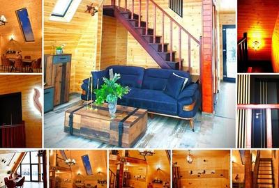 Oportunitate! Casa de vacanta A-frame, judetul Arges - 12