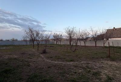 Teren Construcții intravilan de 1200 mp, în Comloșu Mare - 3