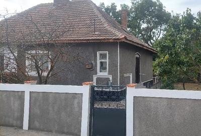 Dalga Sat, Com. Dor Marunt, jud. Calarasi Dalga Sat, Com. Dor Marunt, jud. Calarasi - 5