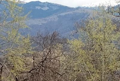 Spațiu comercial, în Mățău - 8