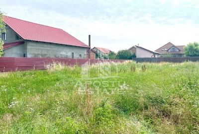 Teren intravilan, zona de vile, in Livada - 2