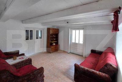 Casa individuala cu 3 camere, 217 mp utili,2800 teren,Intregalde - 5