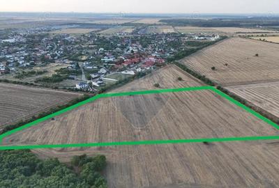 Teren de 40300 mp, în Tamași