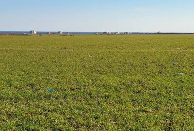 Teren de 7000 mp, în Tuzla - 4