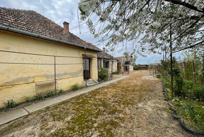 Vand casa in Judetul Arad - 5