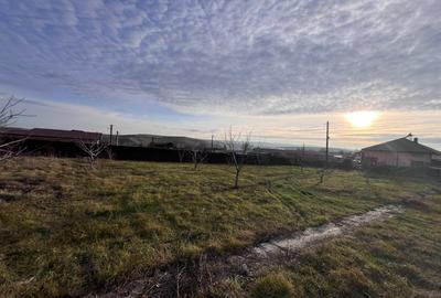 OPORTUNITATE DE INVESTITIE: Teren constructie intravilan - la strada asfaltata - 2