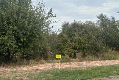 Proprietar vand teren 1439 mp pe strada DEJ, oras Sanicolau Mare - 3