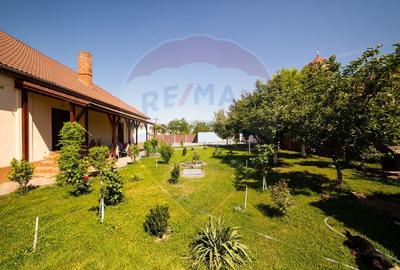 Casă individuală cu 8 camere cu Canalizare în Turnu - 3