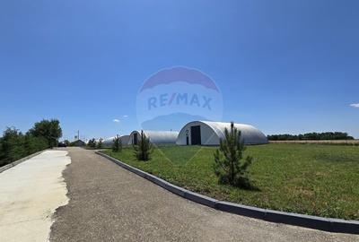 Spațiu comercial, de 1,400 mp, în Potigrafu - 3