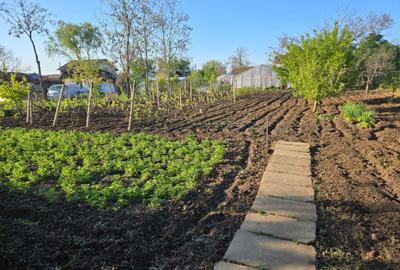 Casă cu 4 camere în Cuza Vodă - 5