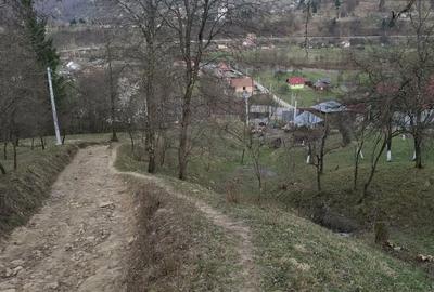 Spațiu comercial, în Valea Vișeului - 8