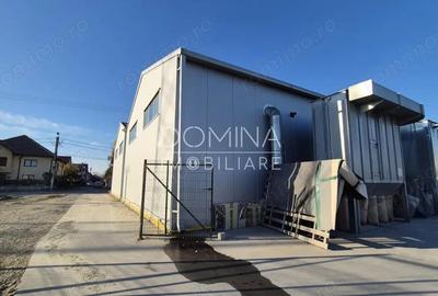 Inchiriere spa?iu industrial 570 mp, acces TIR - zona centurii - Barajului - 4