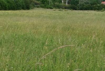 Spațiu comercial, în Unirea - 5