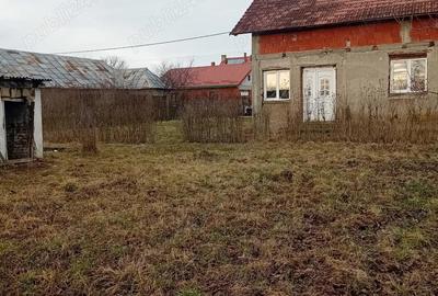 Casă cu Teren 2000 Mp în Micula - 2