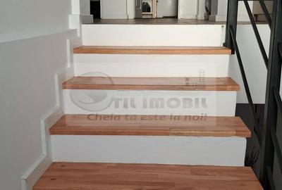 Casa/Vila de inchiriat Antibiotice - 780 euro - 12