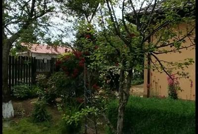 Casă cu 4 camere cu Teren 760 Mp în Central - 6