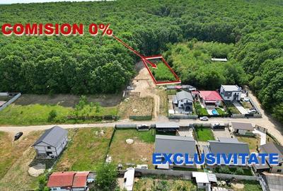 AZURA Imobiliare - Vanzare teren Hintesti, langa padure, 300m din DN - 1