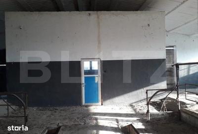 Teren de 950000 mp, în Iosefin