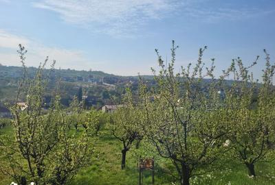 Teren de 3405 mp, în Spitalul Județean - 7