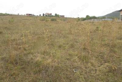 Teren de 600 mp, în Central - 2