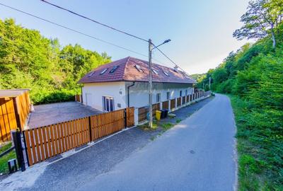 Casa de vis in Loc. Intrerauri