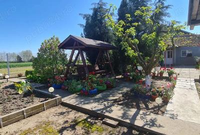 Casă cu 4 camere cu Teren 4300 Mp în Chirnogi - 4