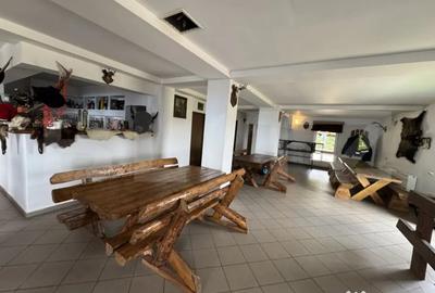 Casă cu 14 camere cu Teren 1001 Mp în Central - 6