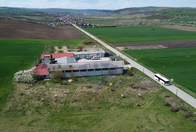 Teren Construcții extravilan de 8600 mp, în Luna de Jos - 3